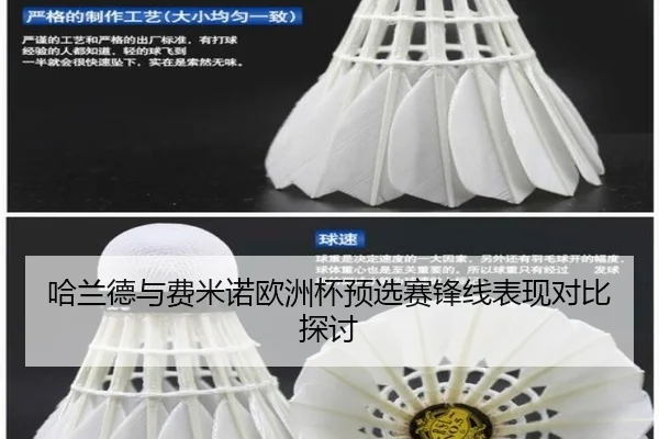 哈兰德与费米诺欧洲杯预选赛锋线表现对比探讨